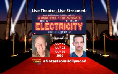 ELECTRICITY: Live Theatre. Live Streamed. Meet Playwright/Star Terry Ray & Co-Star Mel England